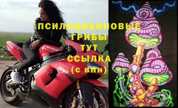 бошки Аркадак