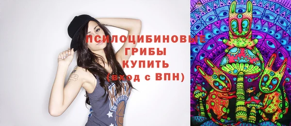 ГАЛЛЮЦИНОГЕННЫЕ ГРИБЫ Балахна