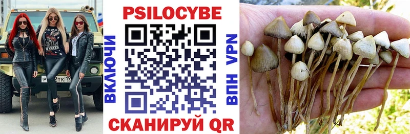 Псилоцибиновые грибы прущие грибы  купить  сайты  Сосногорск 